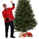 Sapin Fraser
