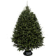 Sapin de Noël Baumier