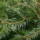 Sapin de Noël Baumier
