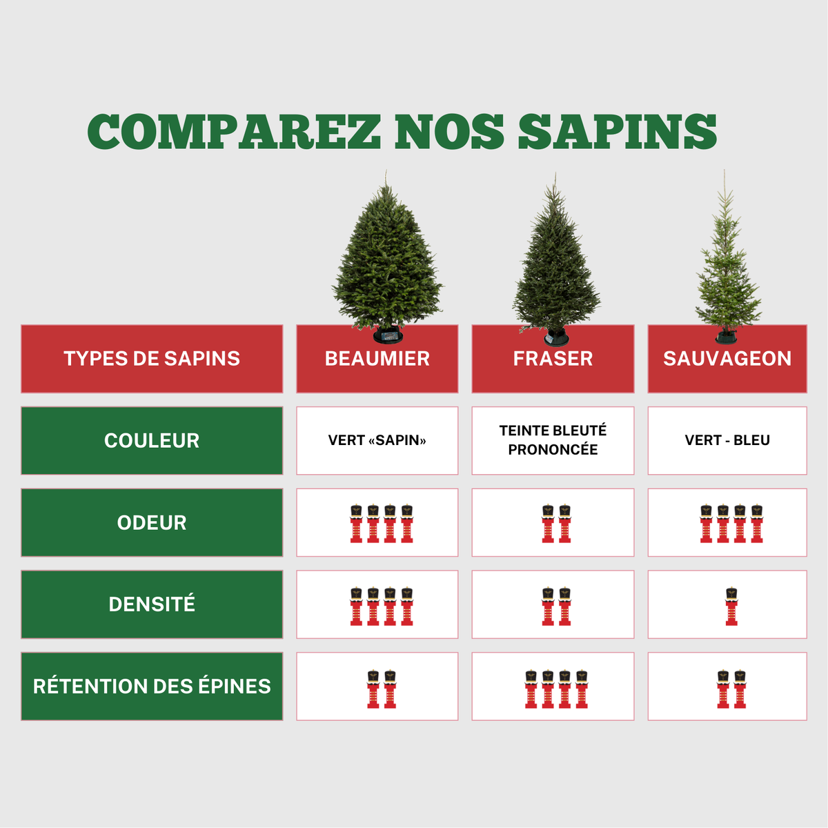 Sapin de Noël Baumier
