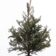 Sapin de Noël de table – 3 pieds