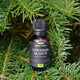 Huile Essentielle Sapin Baumier – Arbressence, 18 ml