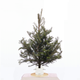 Sapin de Noël de table – 3 pieds